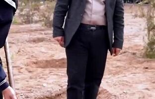 کاشت ۳۰ اصله نهال زیتون به مناسبت روز درختکاری در مجتمع صنعتی چادرملو